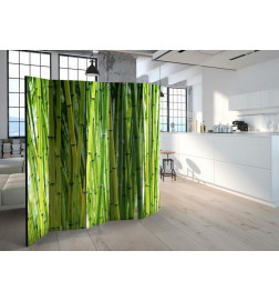 Room Divider - Bamboo Forest II