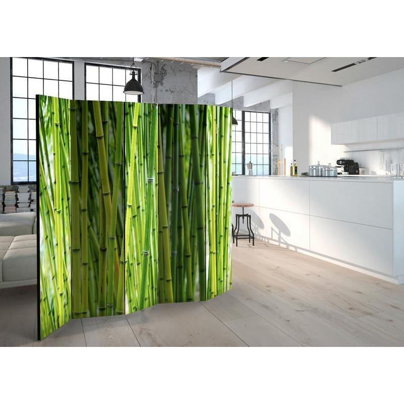 128,00 € Room Divider - Bamboo Forest II