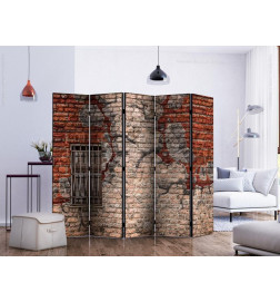128,00 € Room Divider - Break the Wall II