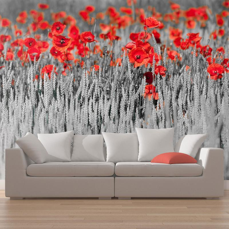 96,00 €Carta da parati - Red poppies on black and white background