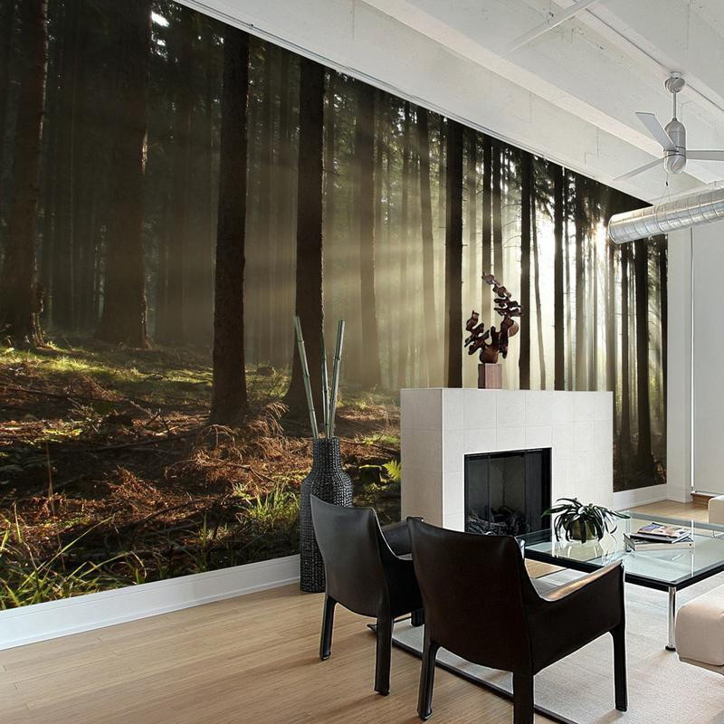 96,00 € Wall Mural - Coniferous forest