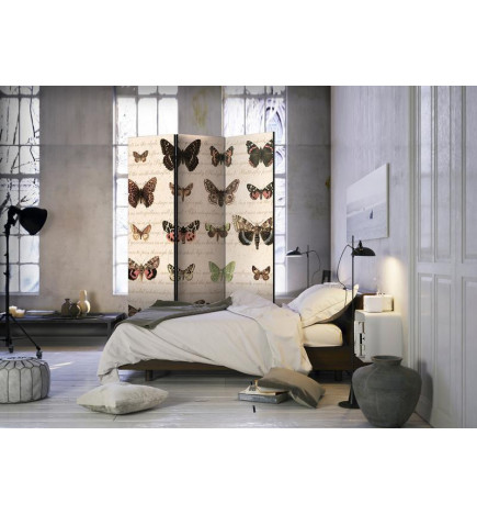 Room Divider - Retro Style: Butterflies