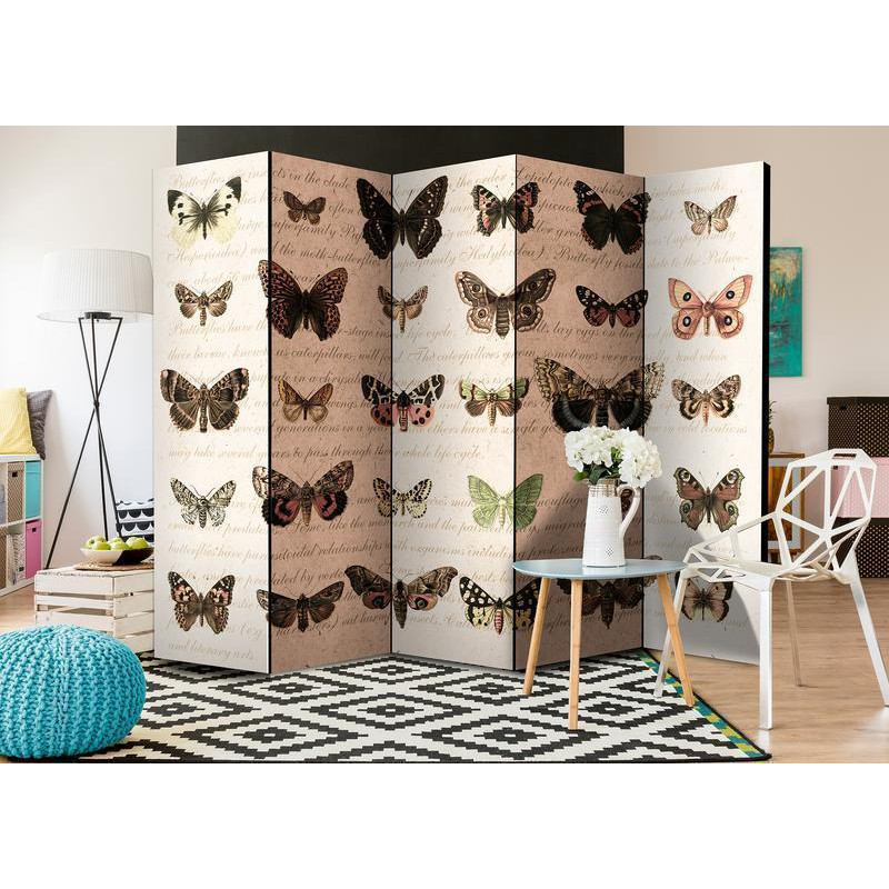 128,00 € Room Divider - Retro Style: Butterflies II