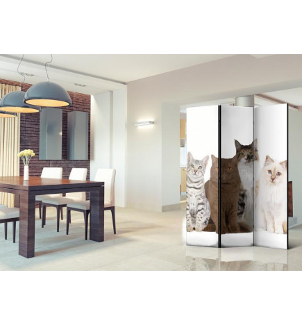 101,00 € Room Divider - Sweet Cats