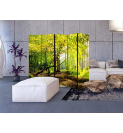 128,00 €Biombo - Forest Clearing II