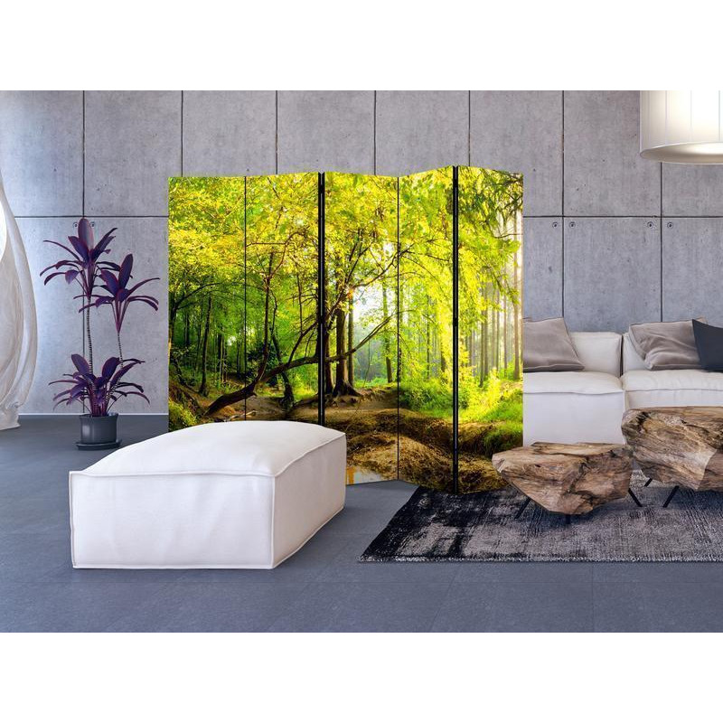 128,00 € Biombo - Forest Clearing II