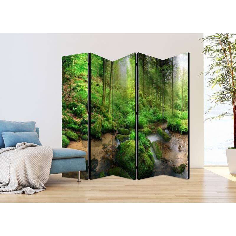 128,00 €Paravento - Humid Forest II
