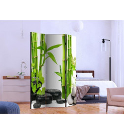 101,00 €Paravento - Bamboos and Stones