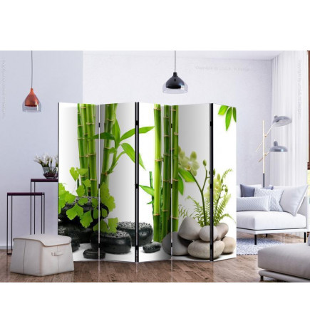 Room Divider - Bamboos and Stones II