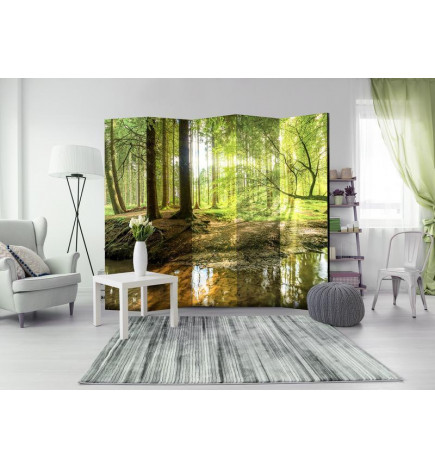 128,00 € Paravent - Forest Lake II