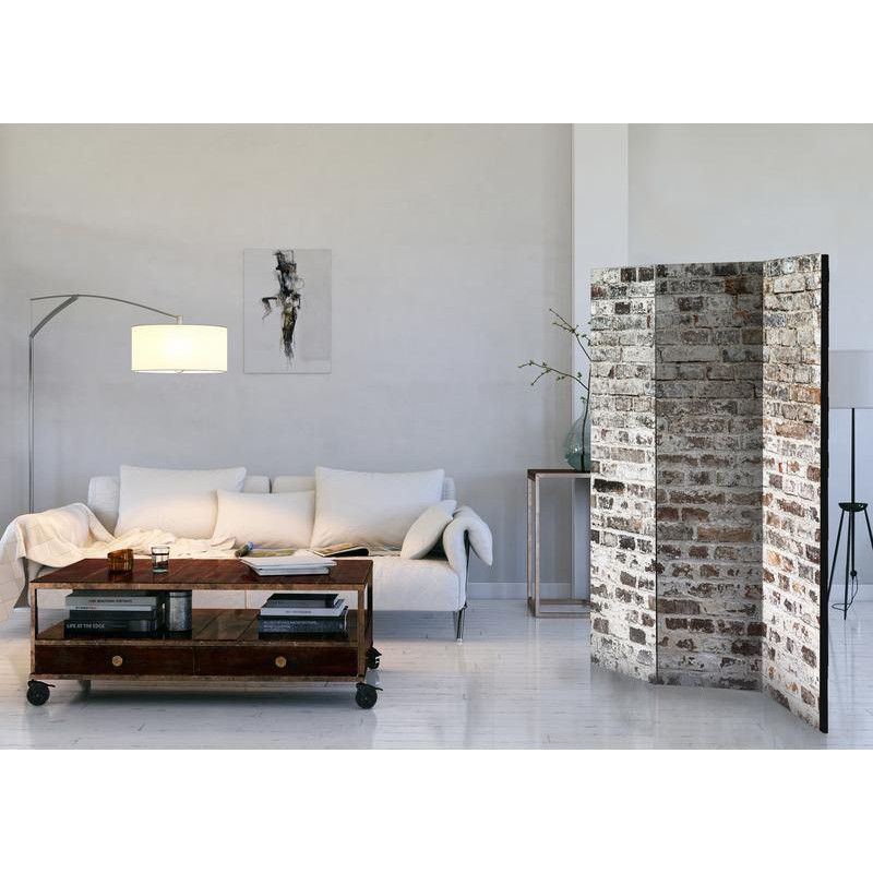 101,00 € Room Divider - Old Walls