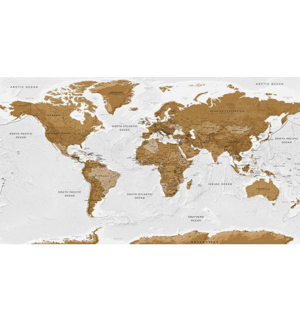 Wall Mural - World Map: White Oceans II