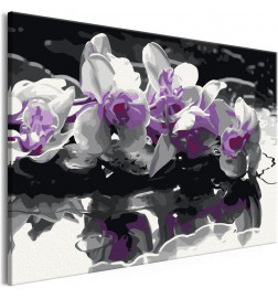 Cuadro para colorear - Orquídea morada (fondo negro y reflejo en el agua)