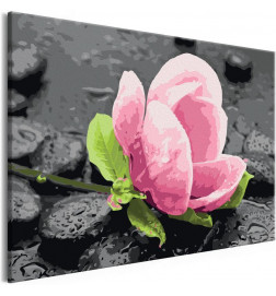 DIY canvas painting - Pink Flower and Stones