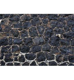Fototapet - Dark charm - textured composition of black stones with light grout