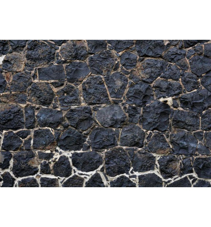 Fototapet - Dark charm - textured composition of black stones with light grout