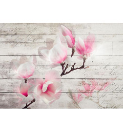Wall Mural - Gentleness of the Magnolia