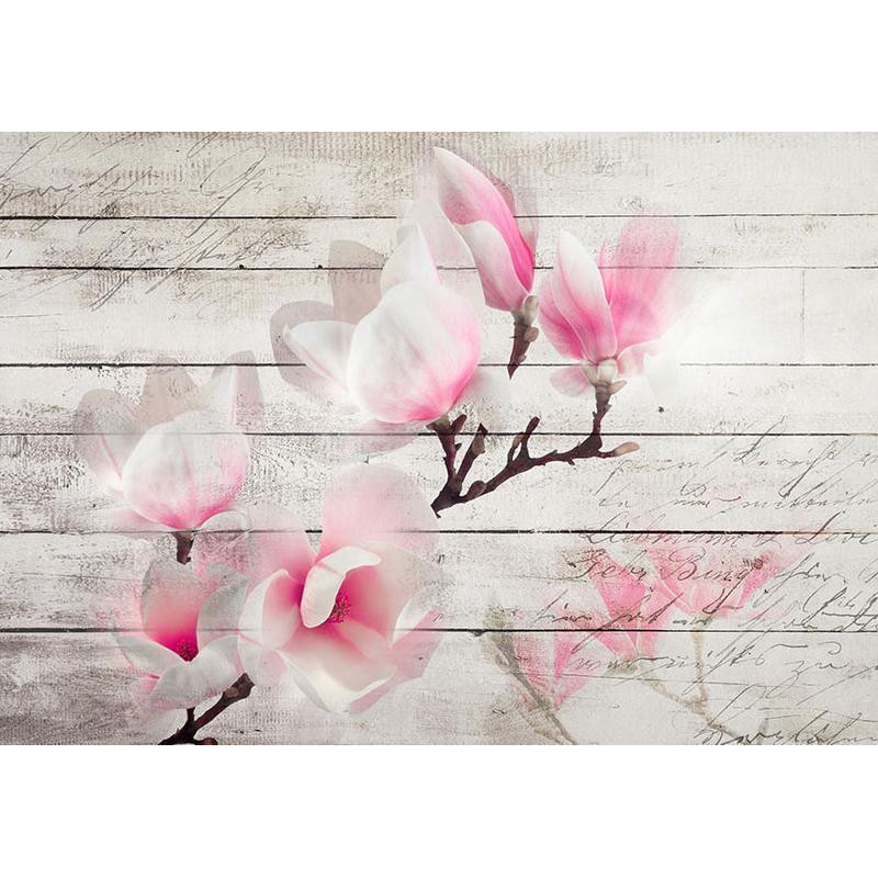 34,00 € Fotobehang - Gentleness of the Magnolia