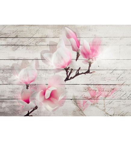 34,00 € Fotobehang - Gentleness of the Magnolia