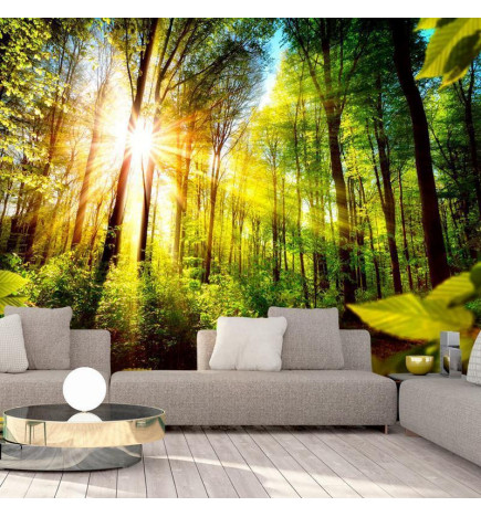 Wall Mural - Forest Hideout