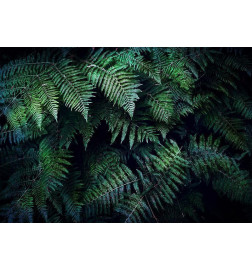 34,00 € Wall Mural - In the Thicket