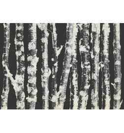 Papier peint - Stately Birches - Second Variant