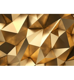 34,00 € Wall Mural - Golden Dome