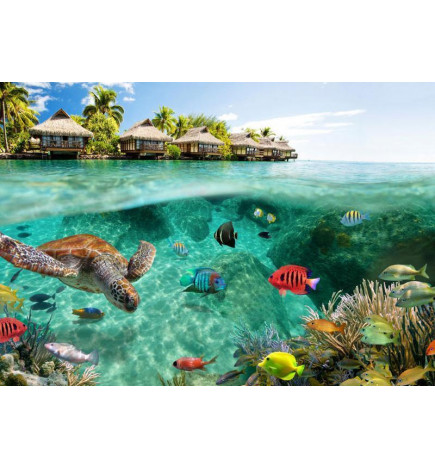 34,00 € Wall Mural - Under the surface of water
