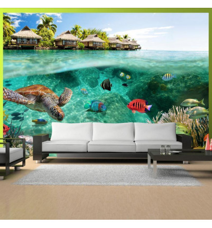 Wall Mural - Under the surface of water