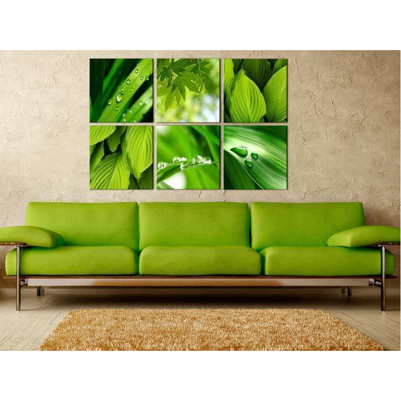 61,90 € Canvas Print - Fresh green leaves
