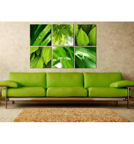 Schilderij - Fresh green leaves