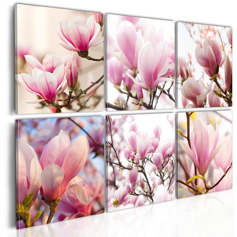 61,90 € Schilderij - Southern magnolias