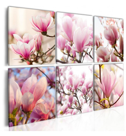 Schilderij - Southern magnolias