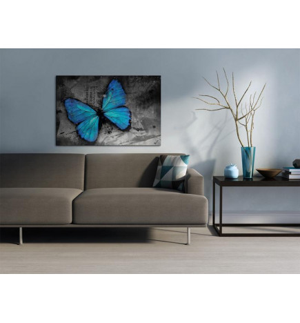 31,90 € Canvas Print - The study of butterfly