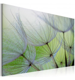 Canvas Print - Dandelion in the wind