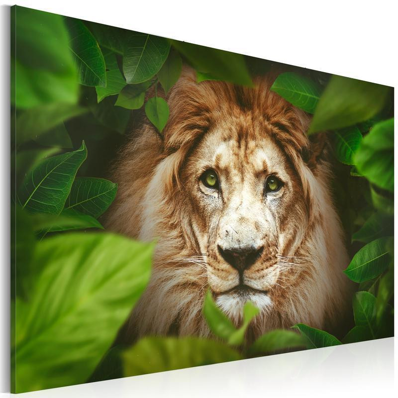 61,90 €Tableau - Eyes of the jungle