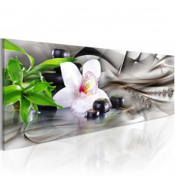 Slika - Zen composition: bamboo, orchid and stones