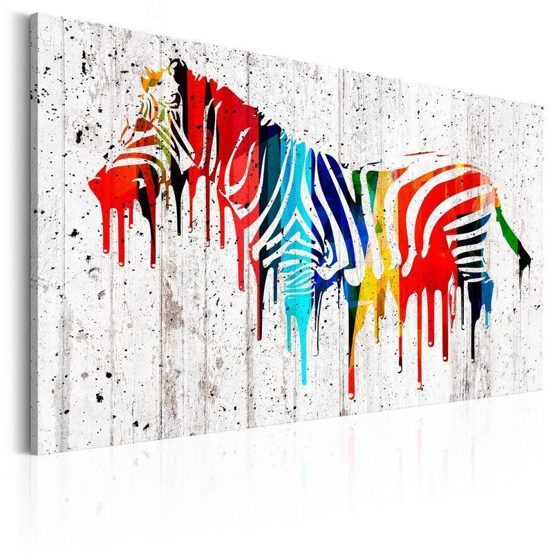 31,90 € Canvas Print - Colourful Zebra