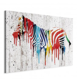 Tablou - Colourful Zebra