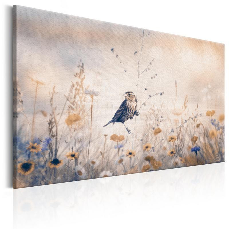 31,90 € Canvas Print - August Melody