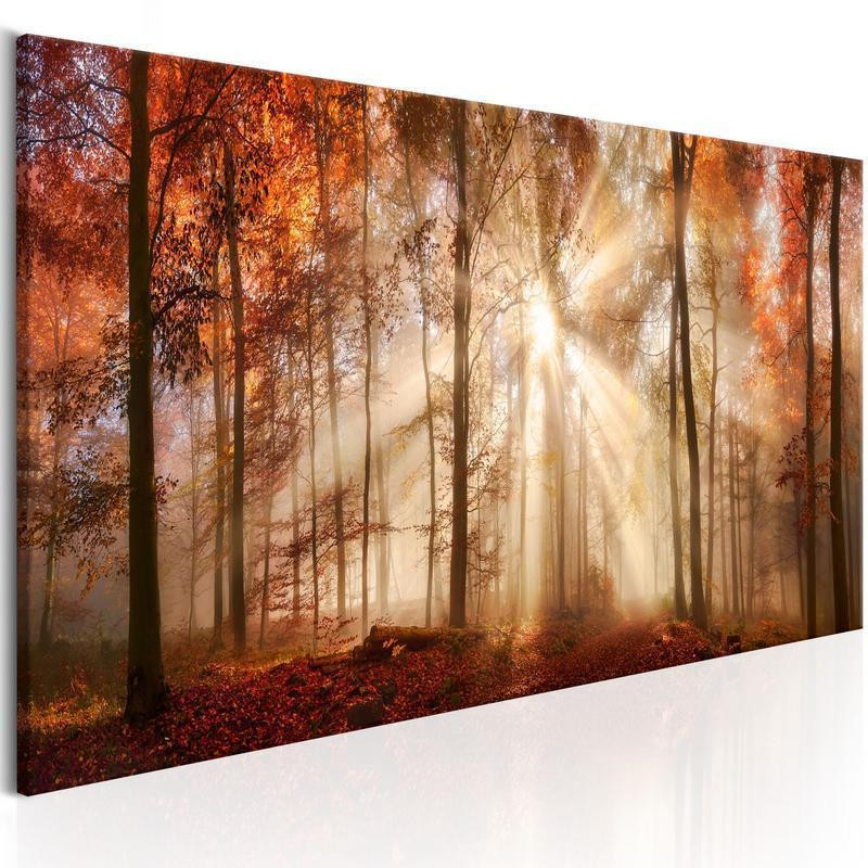 82,90 € Schilderij - Autumnal Dawn