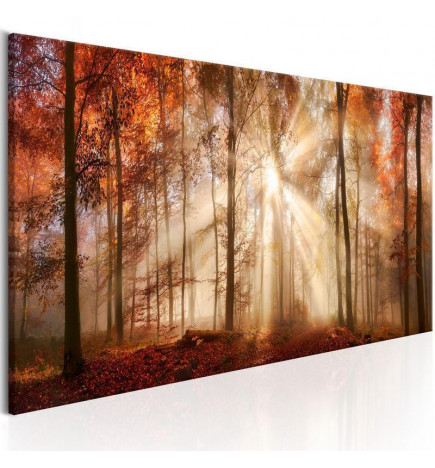 82,90 € Schilderij - Autumnal Dawn