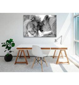 31,90 € Canvas Print - Lions Love