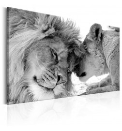 Schilderij - Lions Love