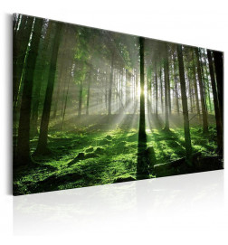 Schilderij - Emerald Forest II