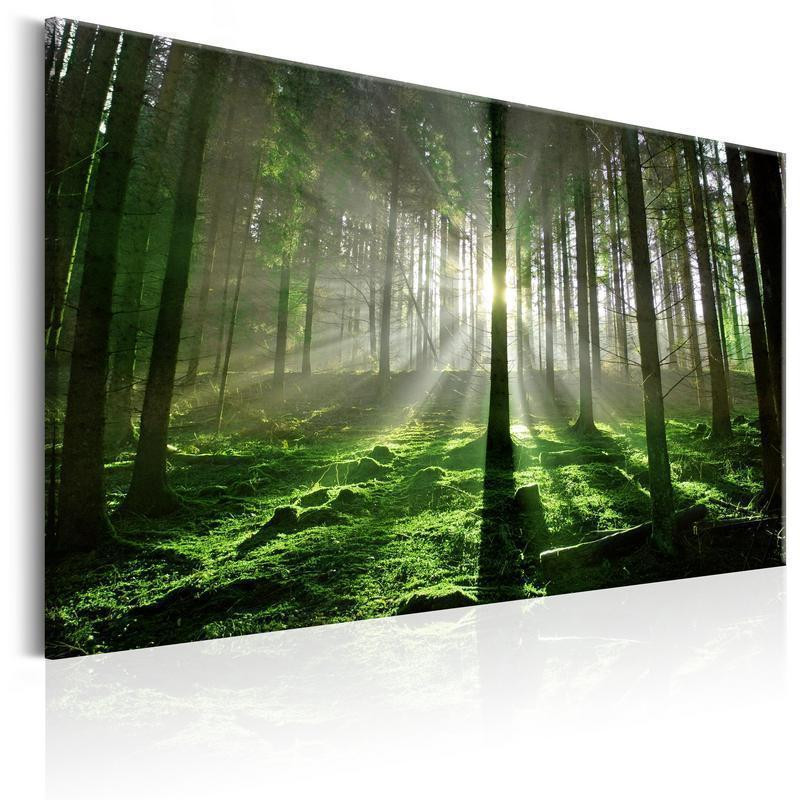 31,90 € Leinwandbild - Emerald Forest II