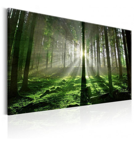 Leinwandbild - Emerald Forest II