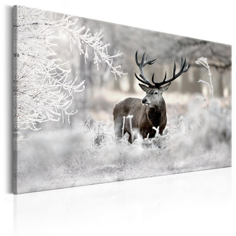 70,90 € Canvas Print - Lonely Deer