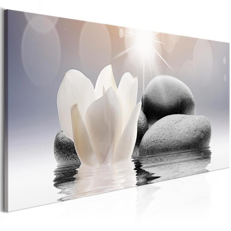 82,90 € Canvas Print - Pebbles in Water (1 Part) Narrow