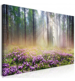 61,90 € Leinwandbild - Purple Meadow (1 Part) Wide